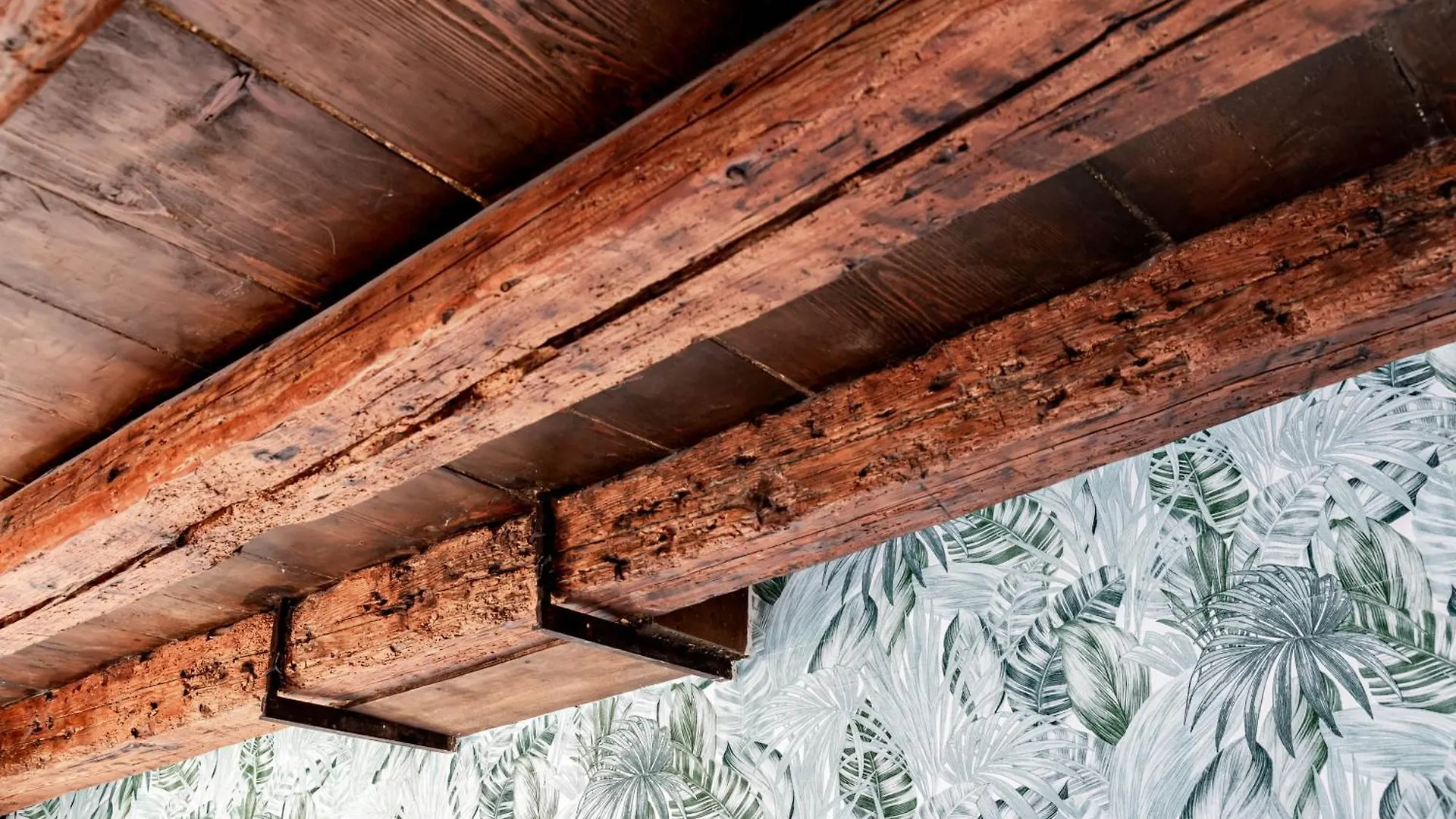 Appartamento A Piazza San Marco Venice Apartment